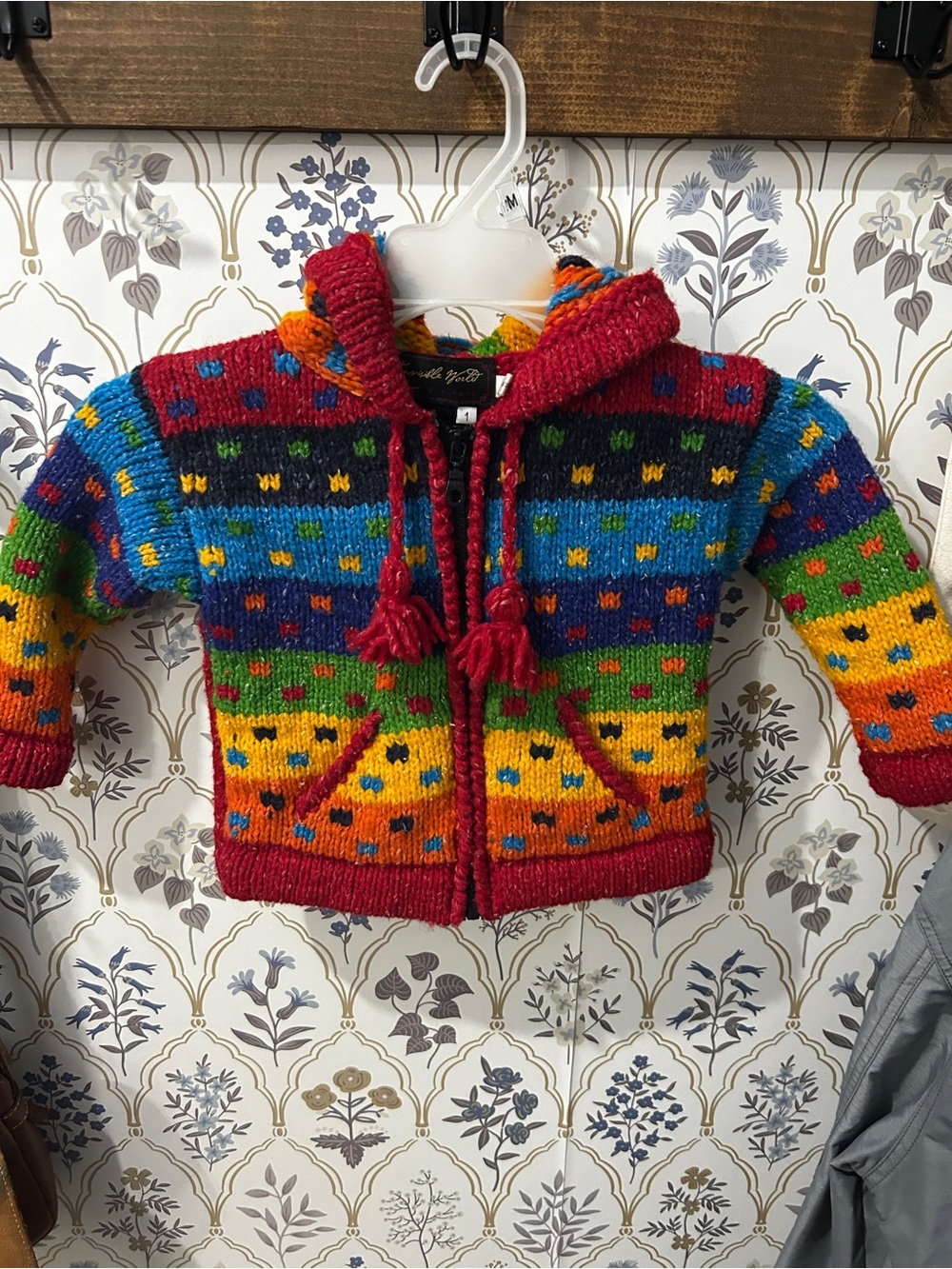 Colorful Hand-Knit Rainbow Hooded Zip Sweater